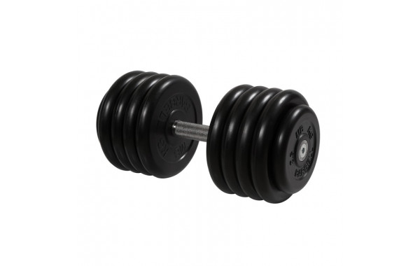 Гантель Профи с вращающейся ручкой, 46 кг MB Barbell MB-FdbM-B46 600_380