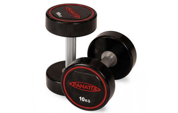 Уретановая гантель 35 кг Panatta 1RD35 600_380