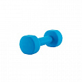 Гантель для аэробики неопреновая PRCTZ NEOPRENE DUMBBELL, 2 кг PS7095 120_120